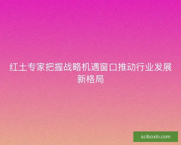 红土专家把握战略机遇窗口推动行业发展新格局